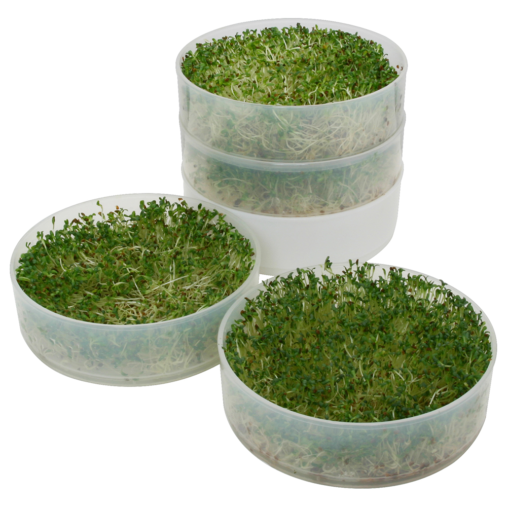 Kitchen Crop 4-Tray Sprouter
