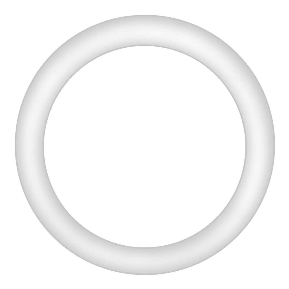 Shaft Seal for 250 Food Strainer